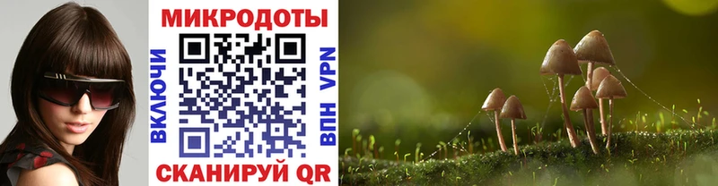 Псилоцибиновые грибы прущие грибы  Трёхгорный 